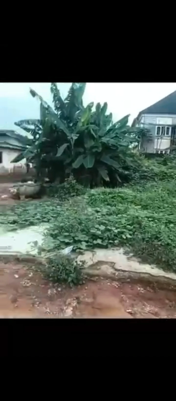 Land for Sale in Ugbor gra, Edo - Image 1