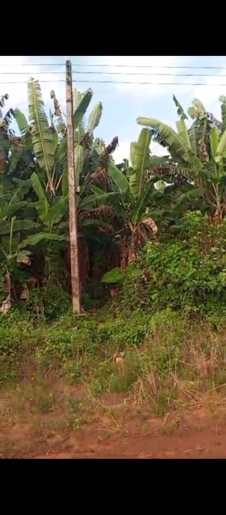Land for Sale in Siluko road, Edo - Image 3