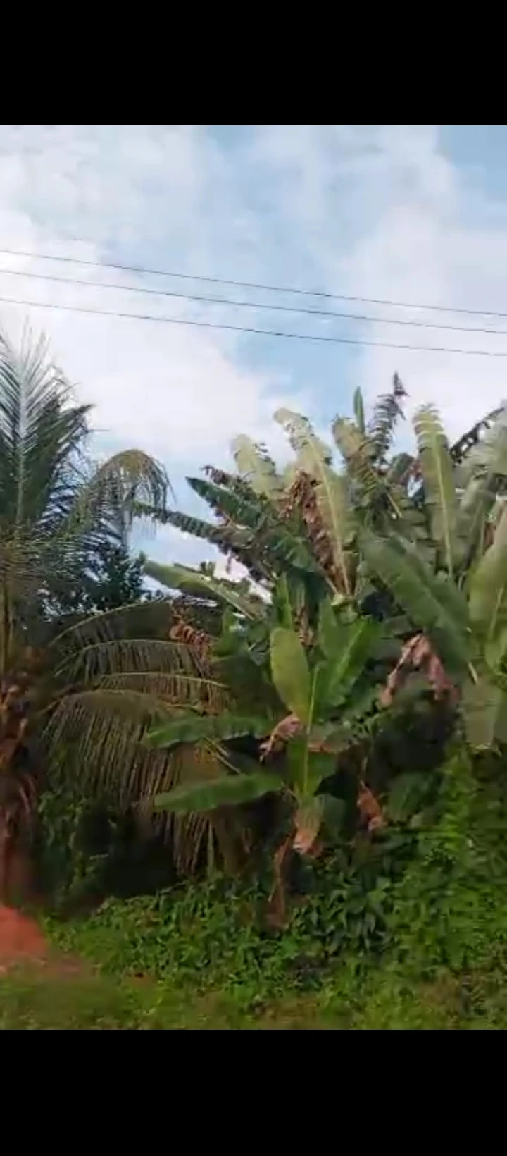 Land for Sale in Siluko road, Edo - Image 6