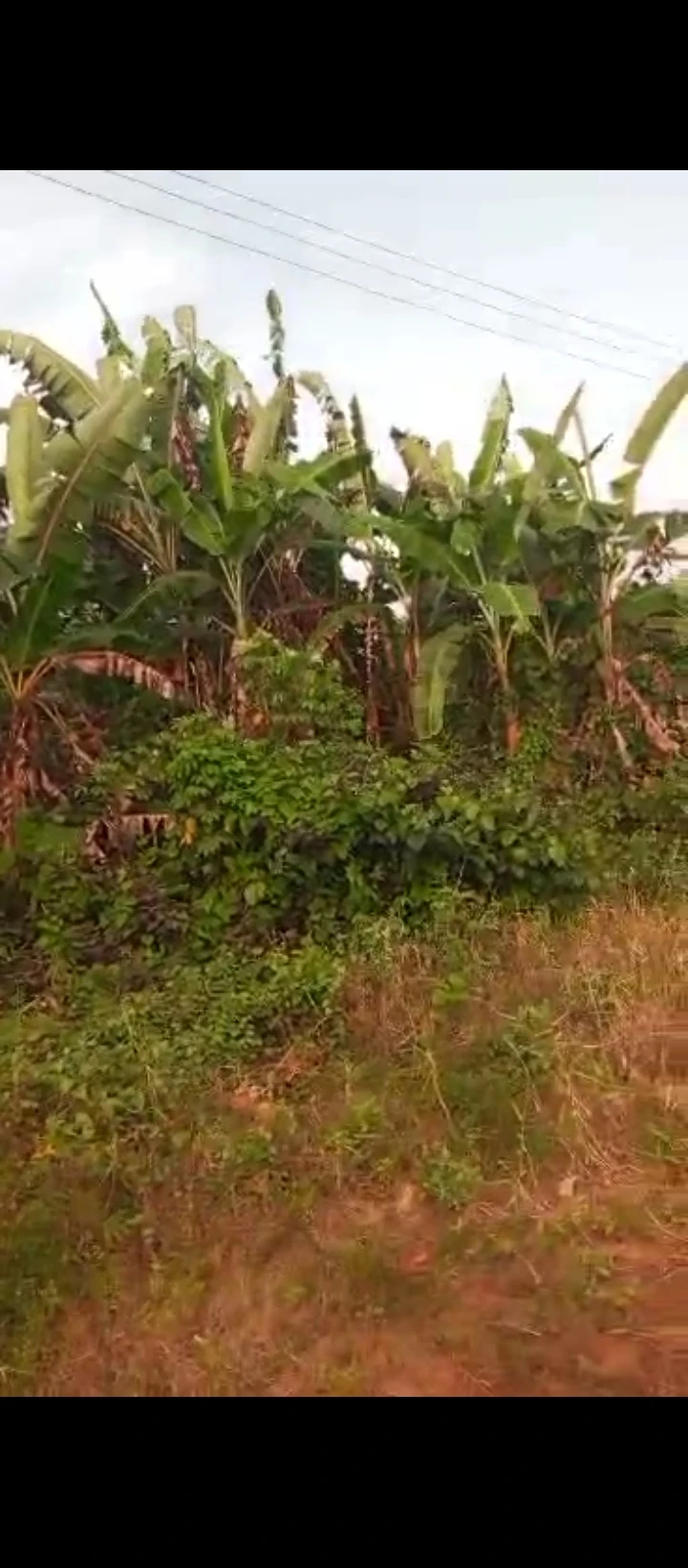 Land for Sale in Siluko road, Edo - Image 5