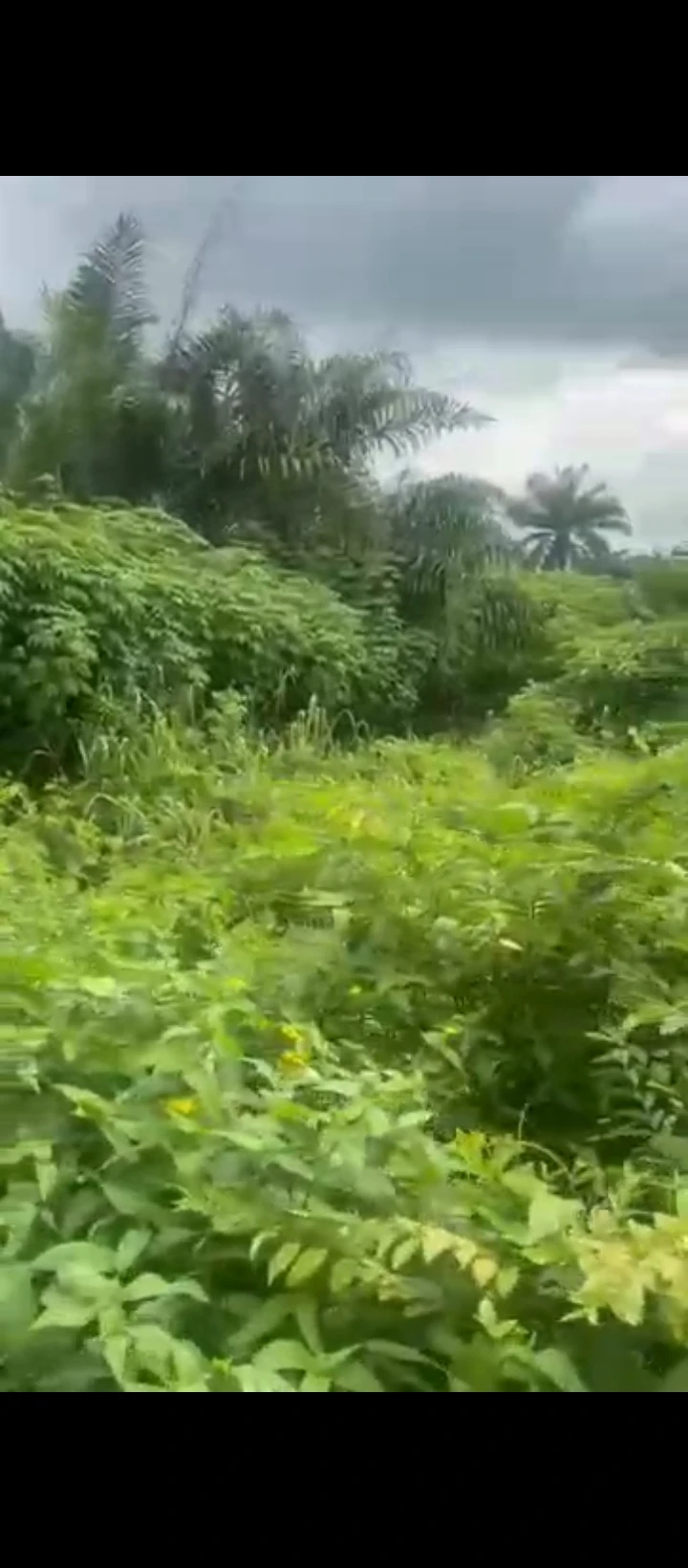 Land for Sale in Evbhuku sapele road, Edo - Image 6