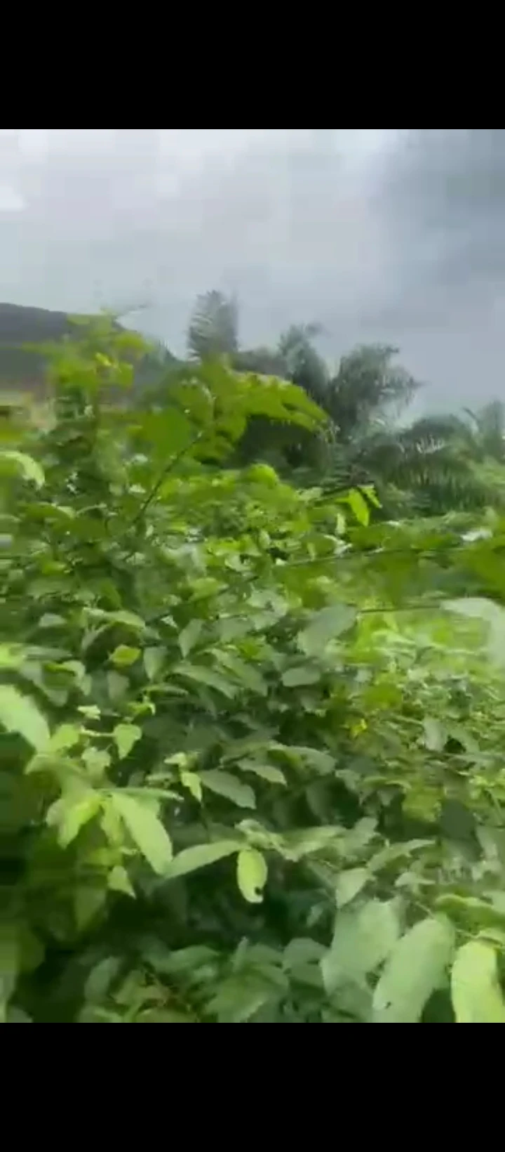 Land for Sale in Evbhuku sapele road, Edo - Image 5