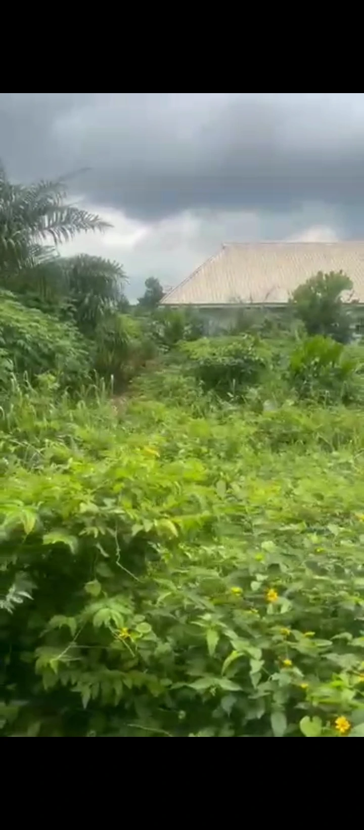 Land for Sale in Evbhuku sapele road, Edo - Image 4