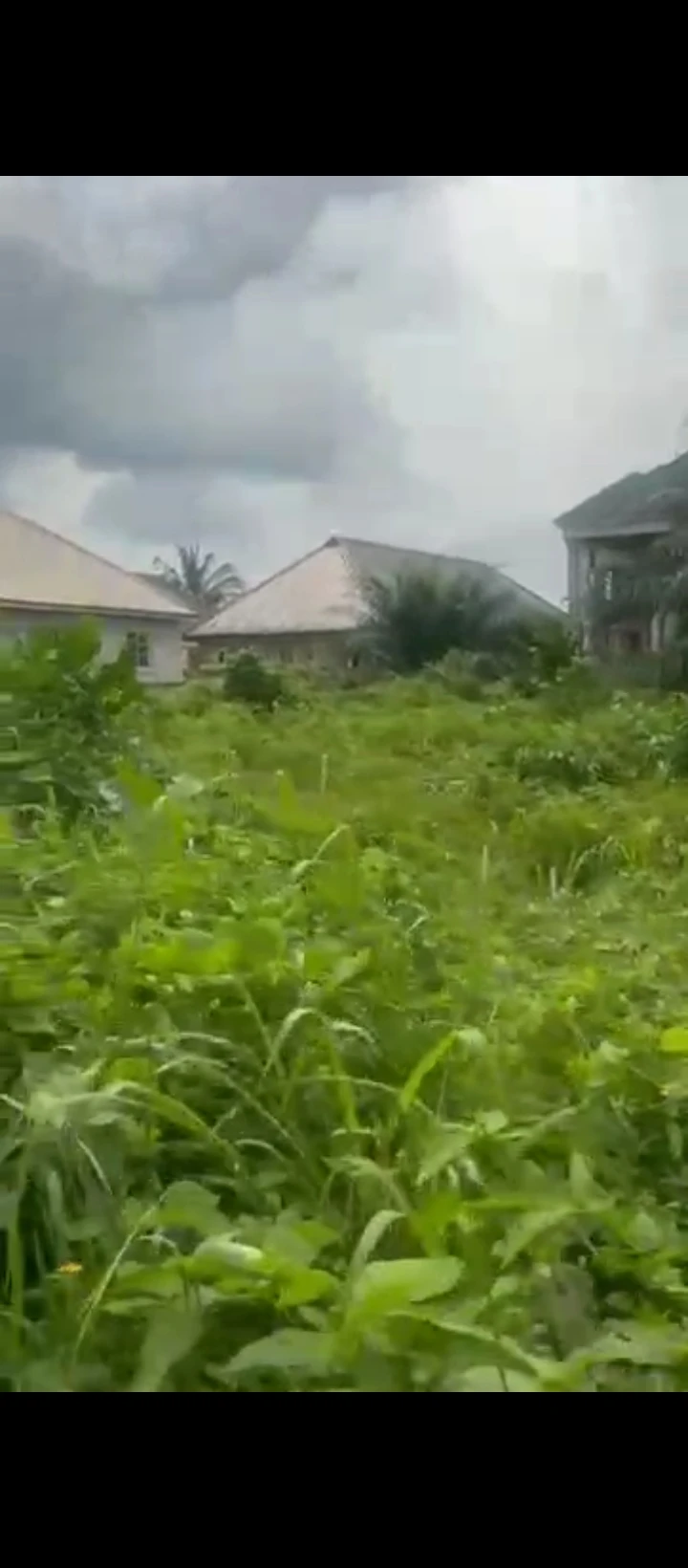 Land for Sale in Evbhuku sapele road, Edo - Image 3