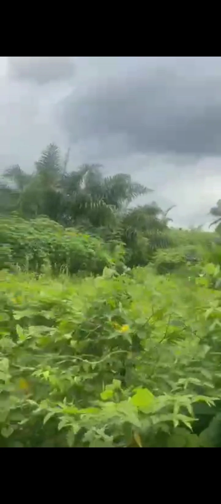 Land for Sale in Evbhuku sapele road, Edo - Image 2