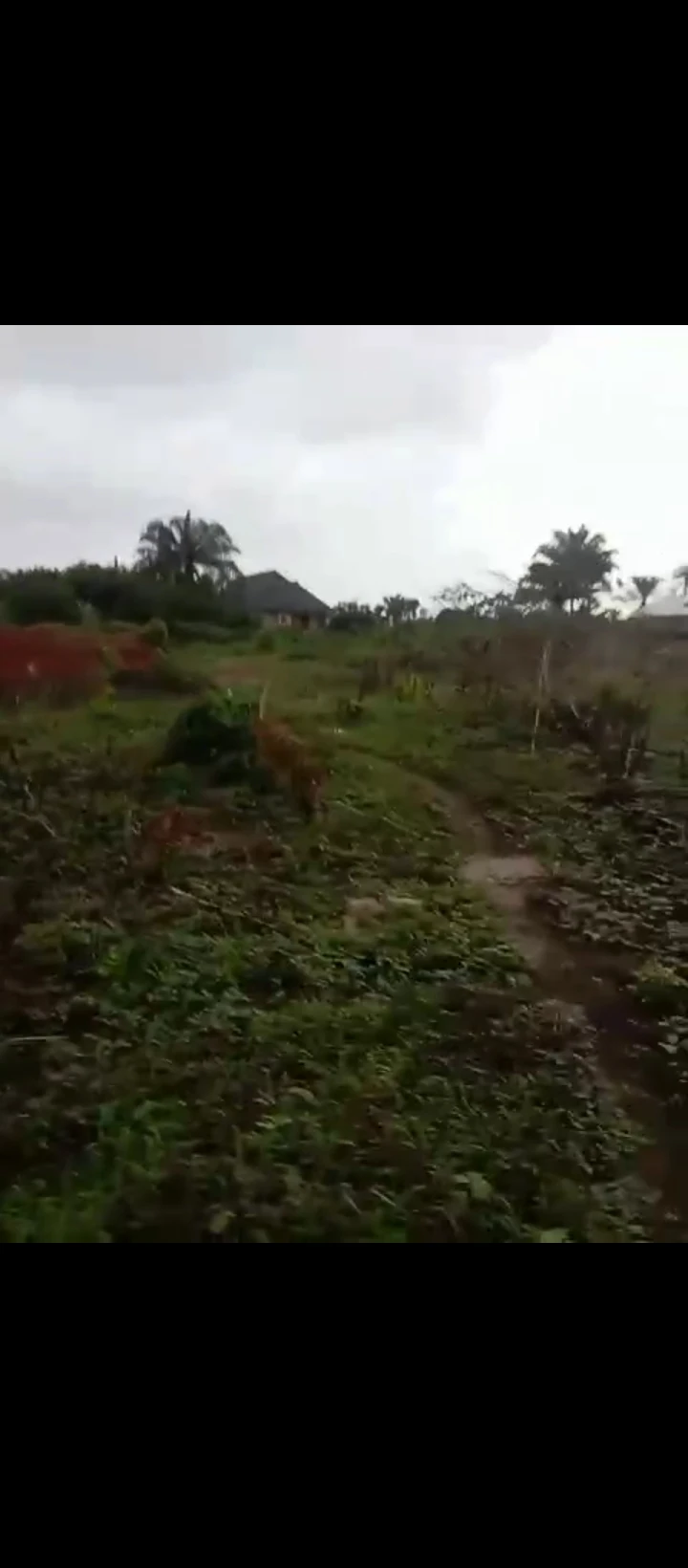 Land for Sale in Obayantor sapele road, Edo - Image 2