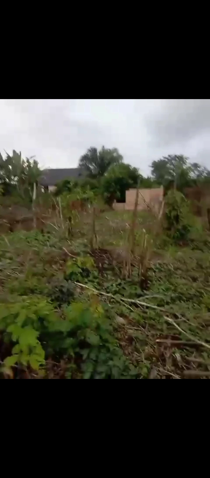 Land for Sale in Obayantor sapele road, Edo - Image 6