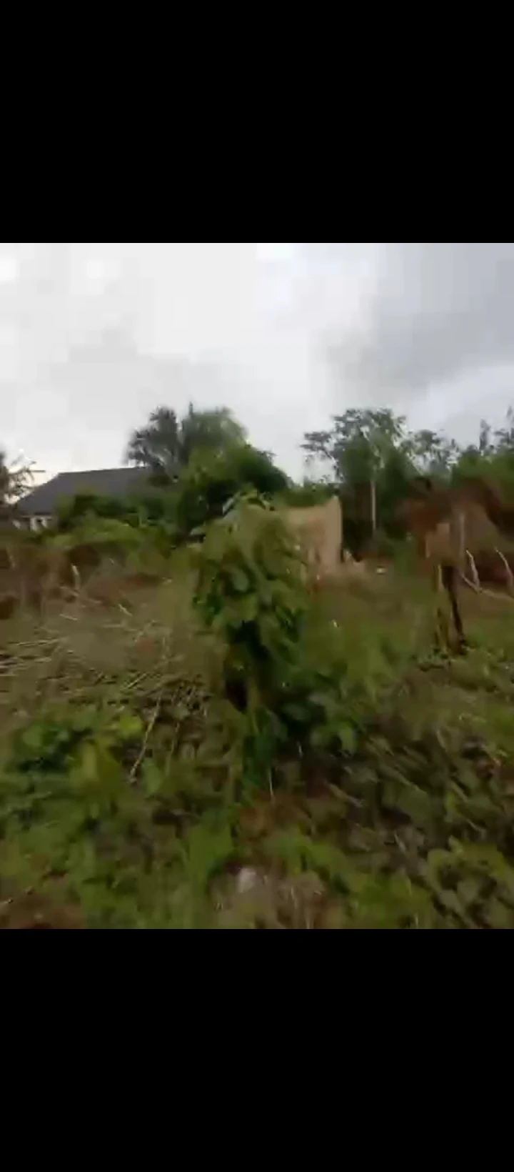 Land for Sale in Obayantor sapele road, Edo - Image 5
