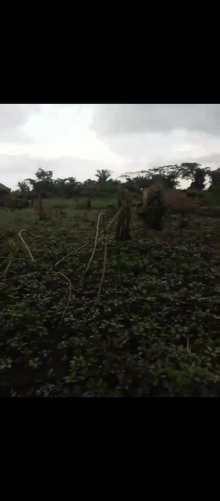 Land for Sale in Obayantor sapele road, Edo - Image 1