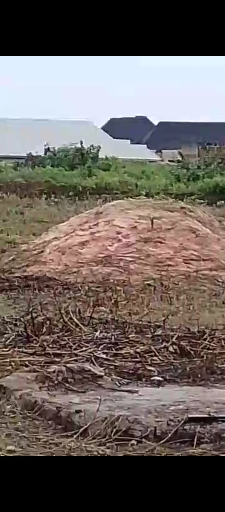 Land for Sale in Okhoromi airport road, Edo - Image 3
