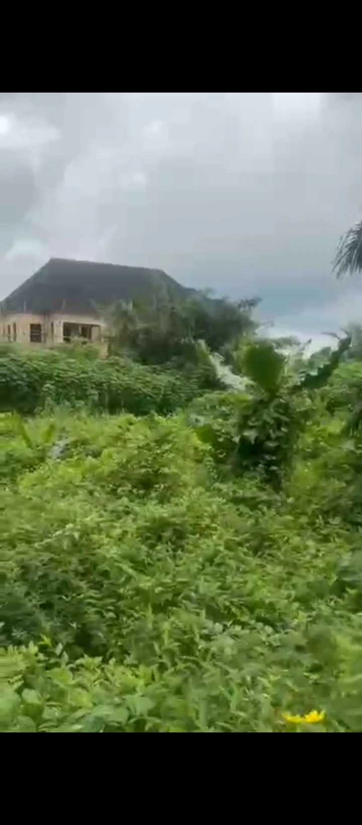 Land for Sale in Evbhuku sapele road, Edo - Image 5