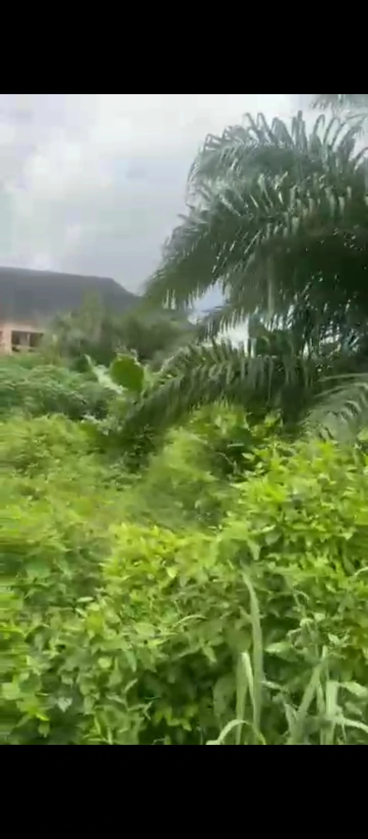 Land for Sale in Evbhuku sapele road, Edo - Image 6