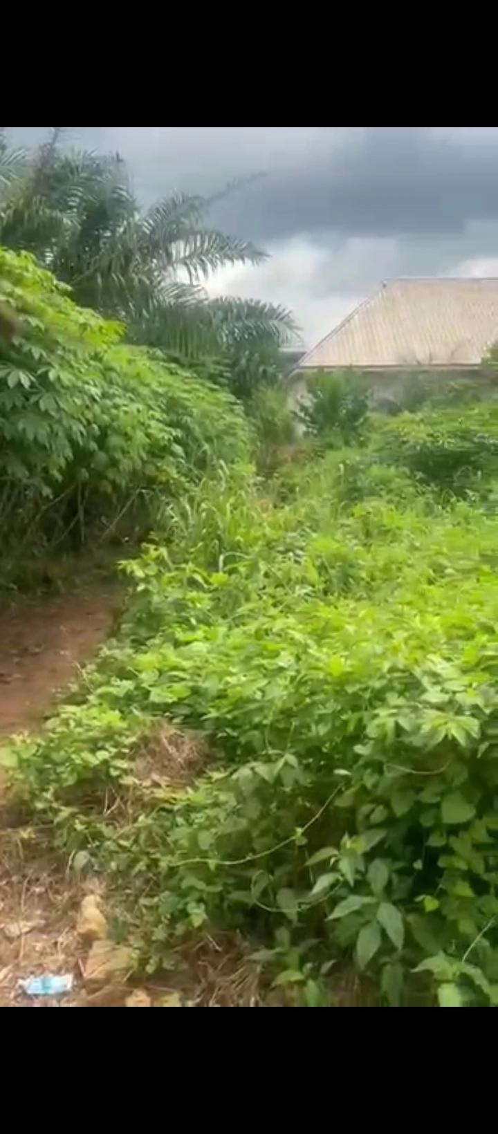 Land for Sale in Evbhuku sapele road, Edo - Image 1