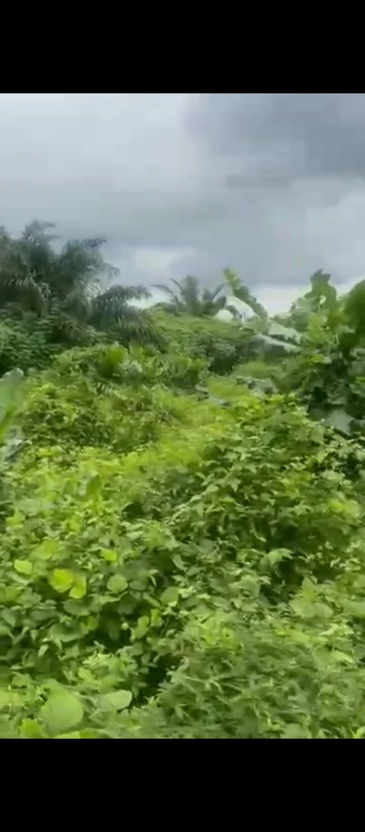 Land for Sale in Evbhuku sapele road, Edo - Image 3
