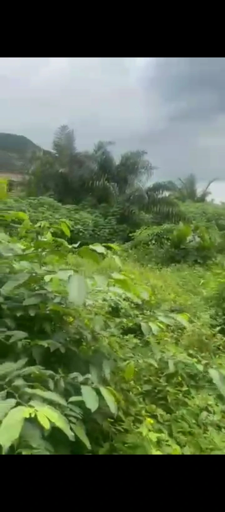 Land for Sale in Evbhuku sapele road, Edo - Image 2