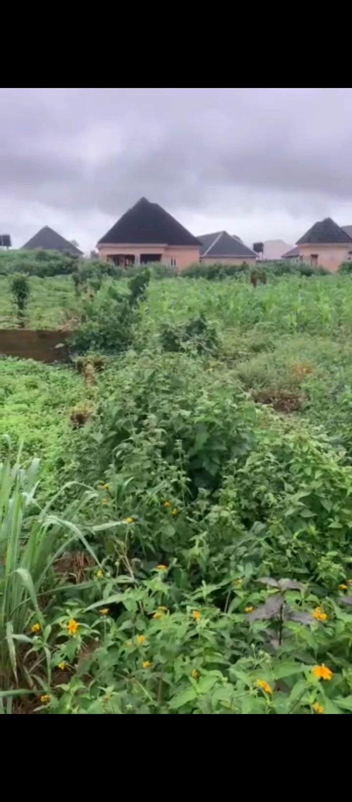 Land for Sale in Ekehuan road, Edo - Image 1