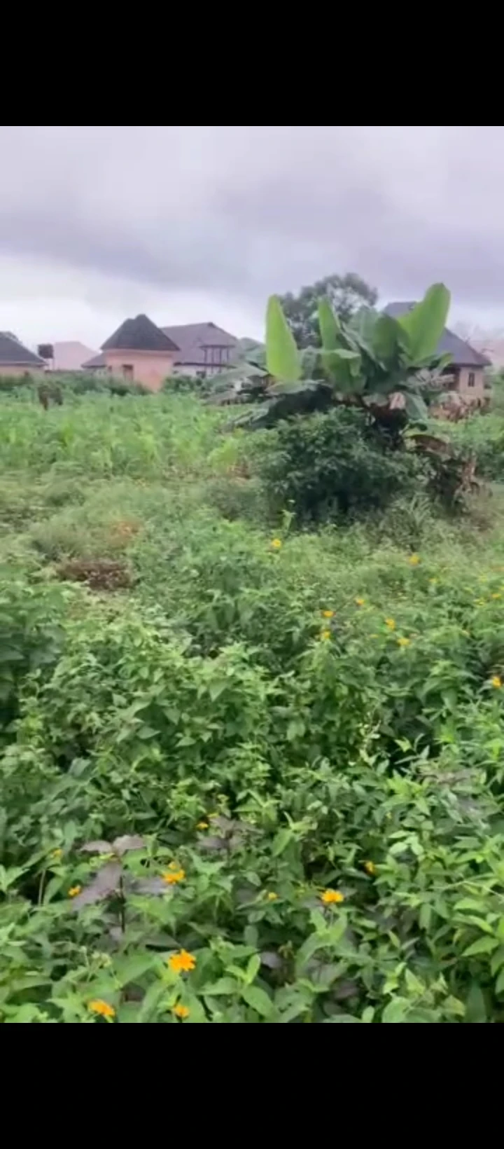 Land for Sale in Ekehuan road, Edo - Image 2