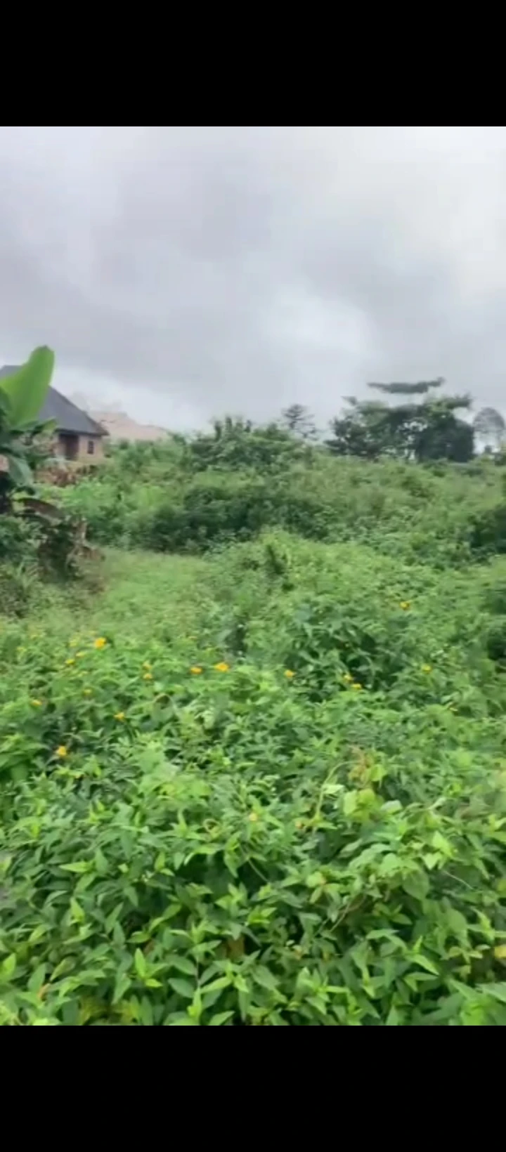 Land for Sale in Ekehuan road, Edo - Image 5