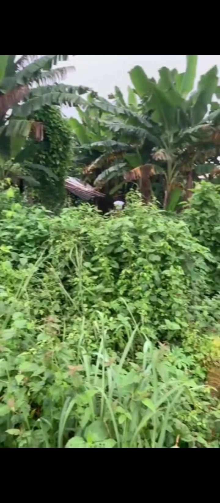 Land for Sale in Ekehuan road, Edo - Image 3
