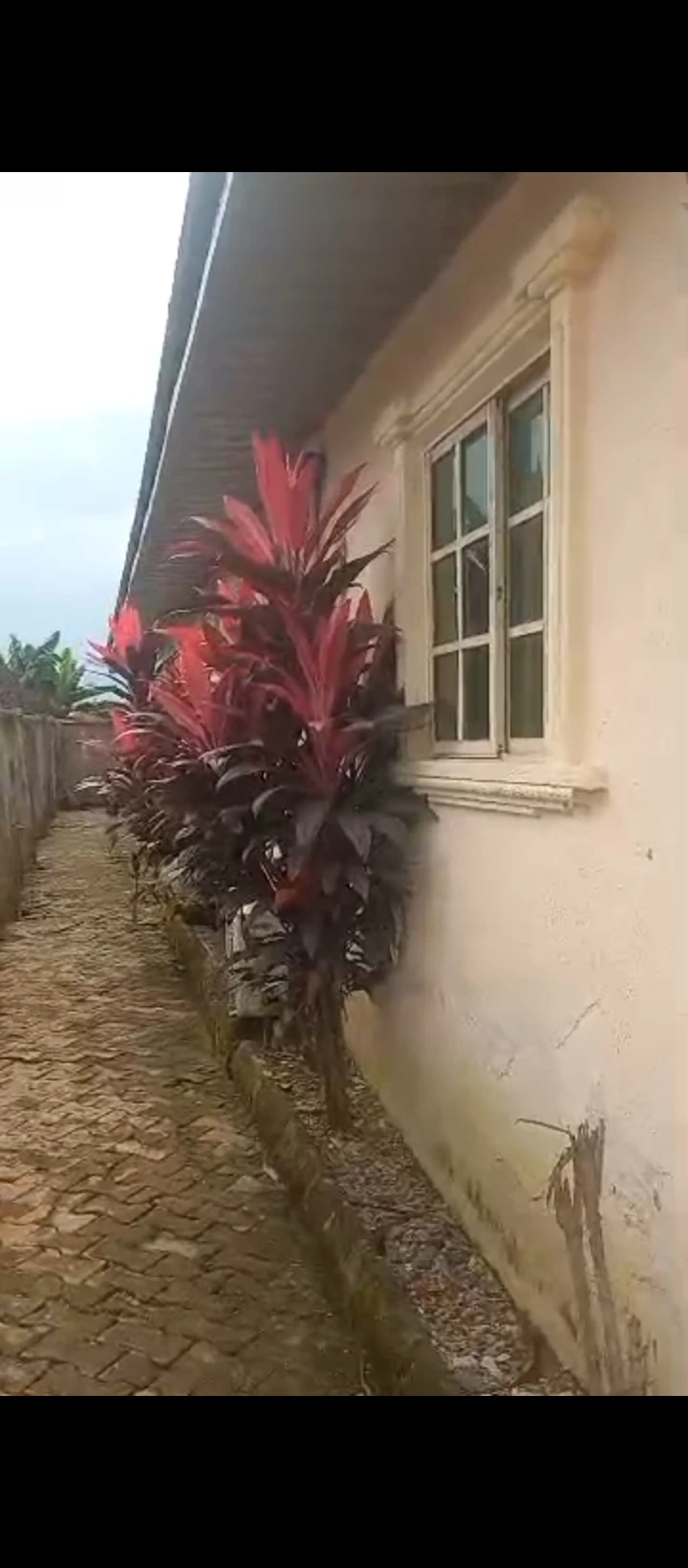 3 Bedroom Flat for Sale in Upper ekehuan road, Edo - Image 5