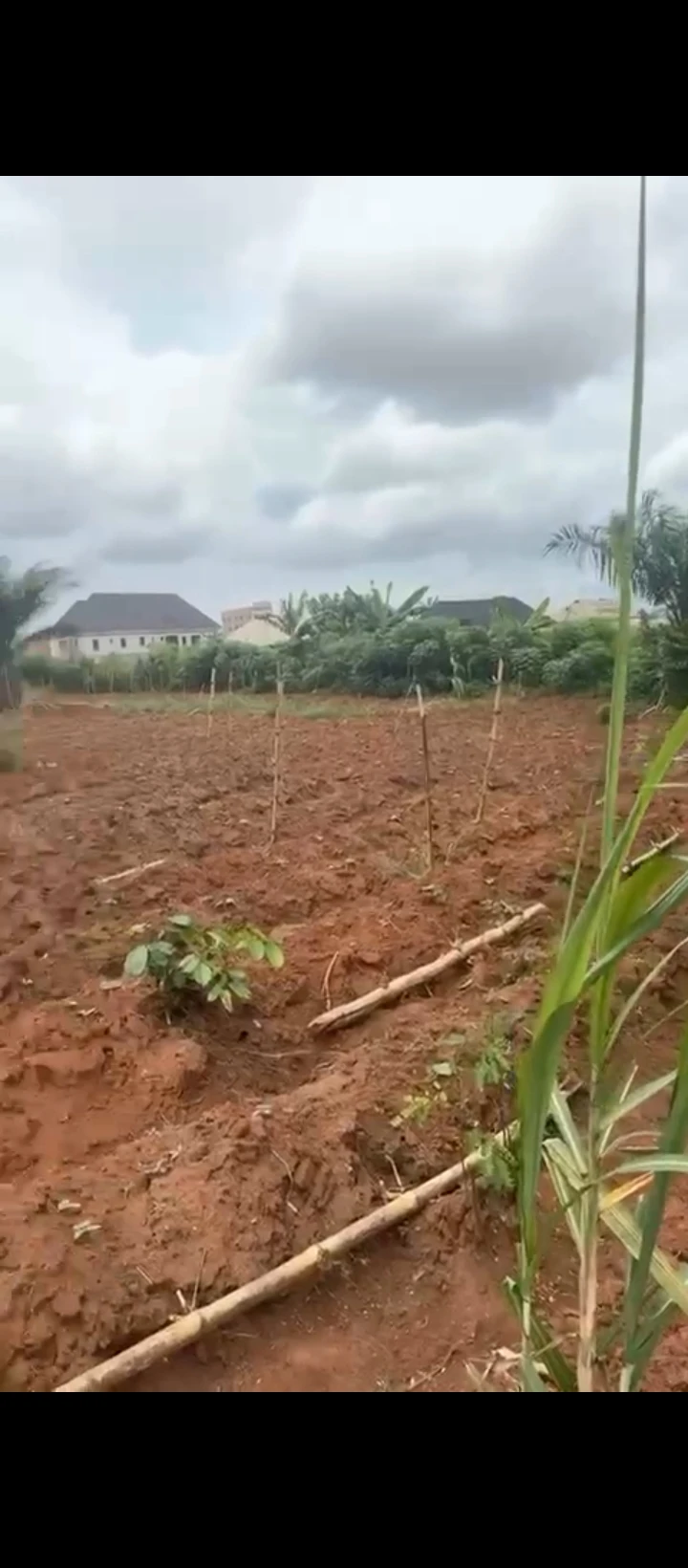Land for Sale in Oluku, Edo - Image 4