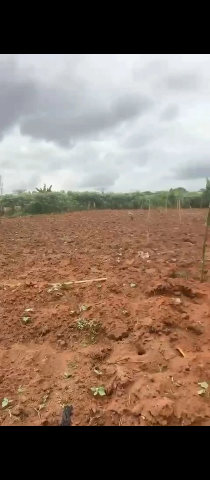 Land for Sale in Oluku, Edo - Image 2