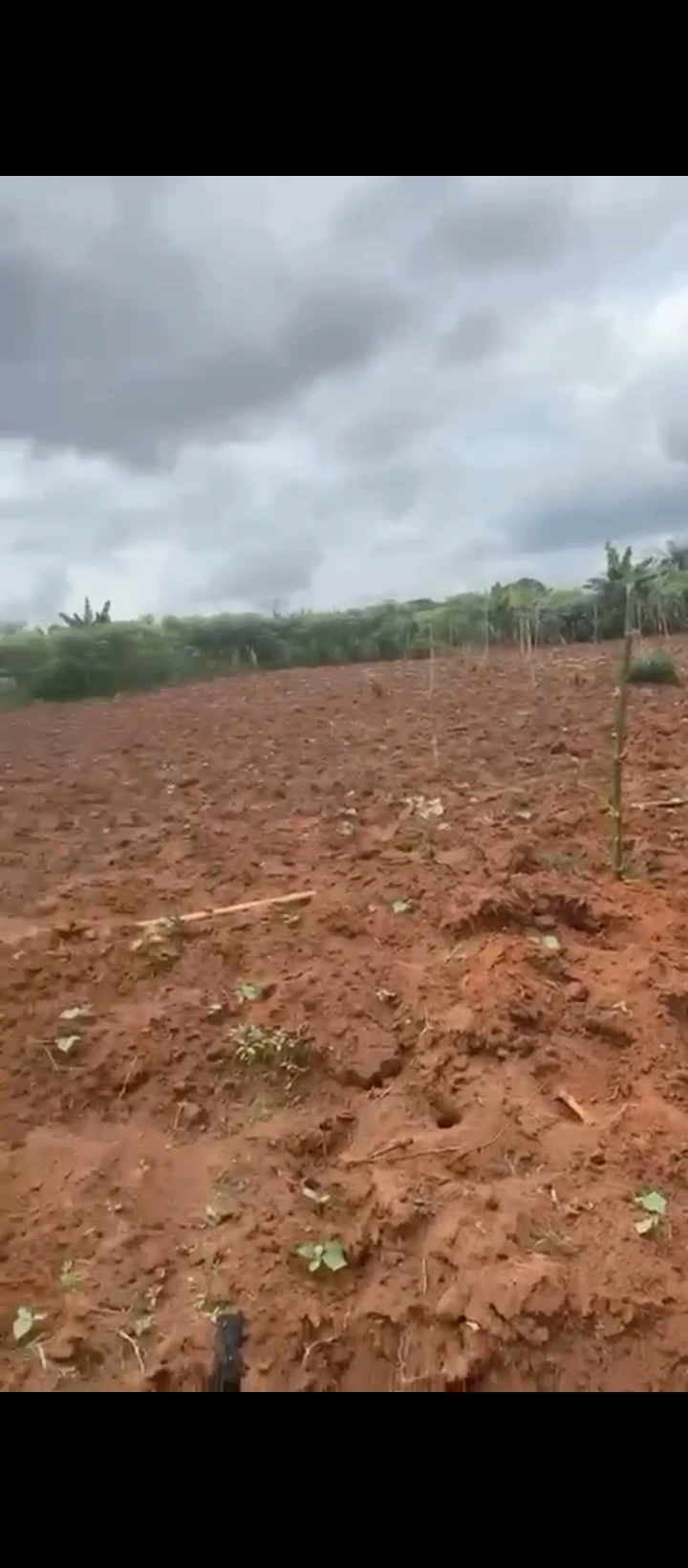 Land for Sale in Oluku, Edo - Image 3