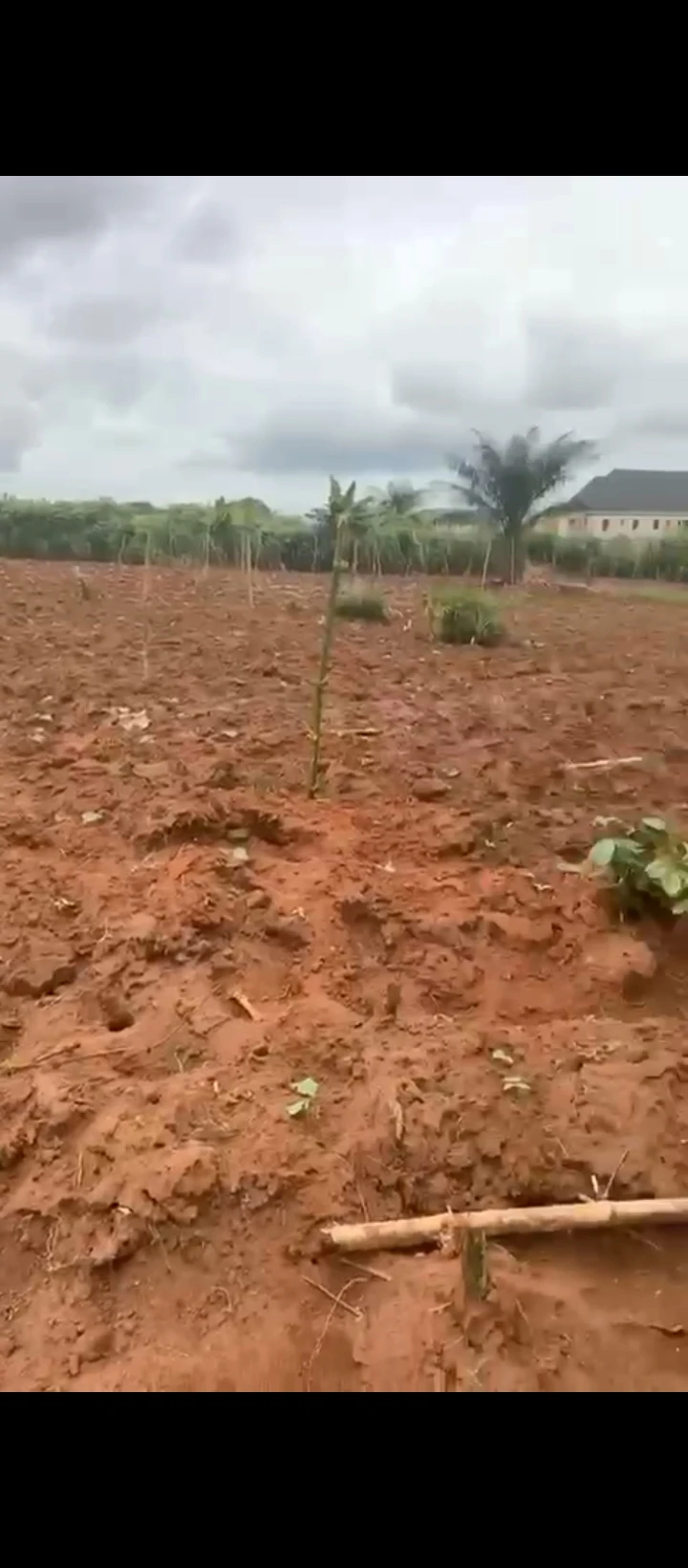 Land for Sale in Oluku, Edo - Image 1