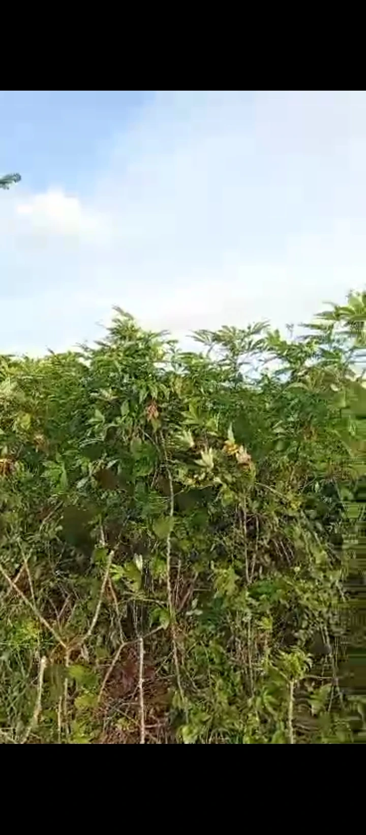 Land for Sale in Airport road, Edo - Image 3