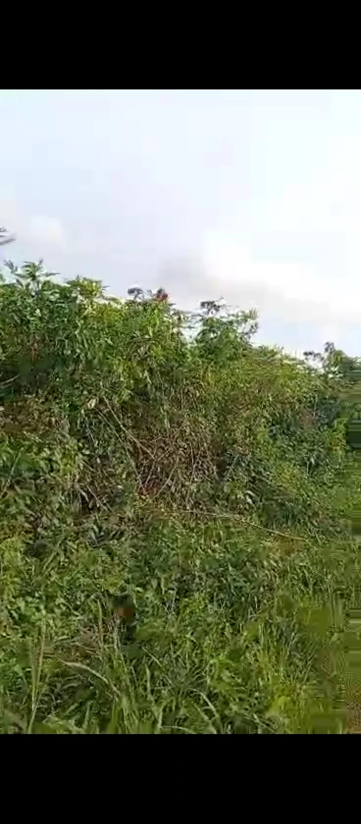 Land for Sale in Airport road, Edo - Image 4