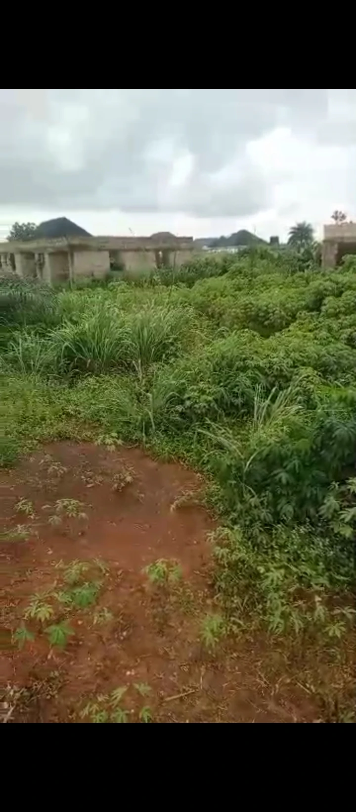 Land for Sale in Uhroho sapele road, Edo - Image 4