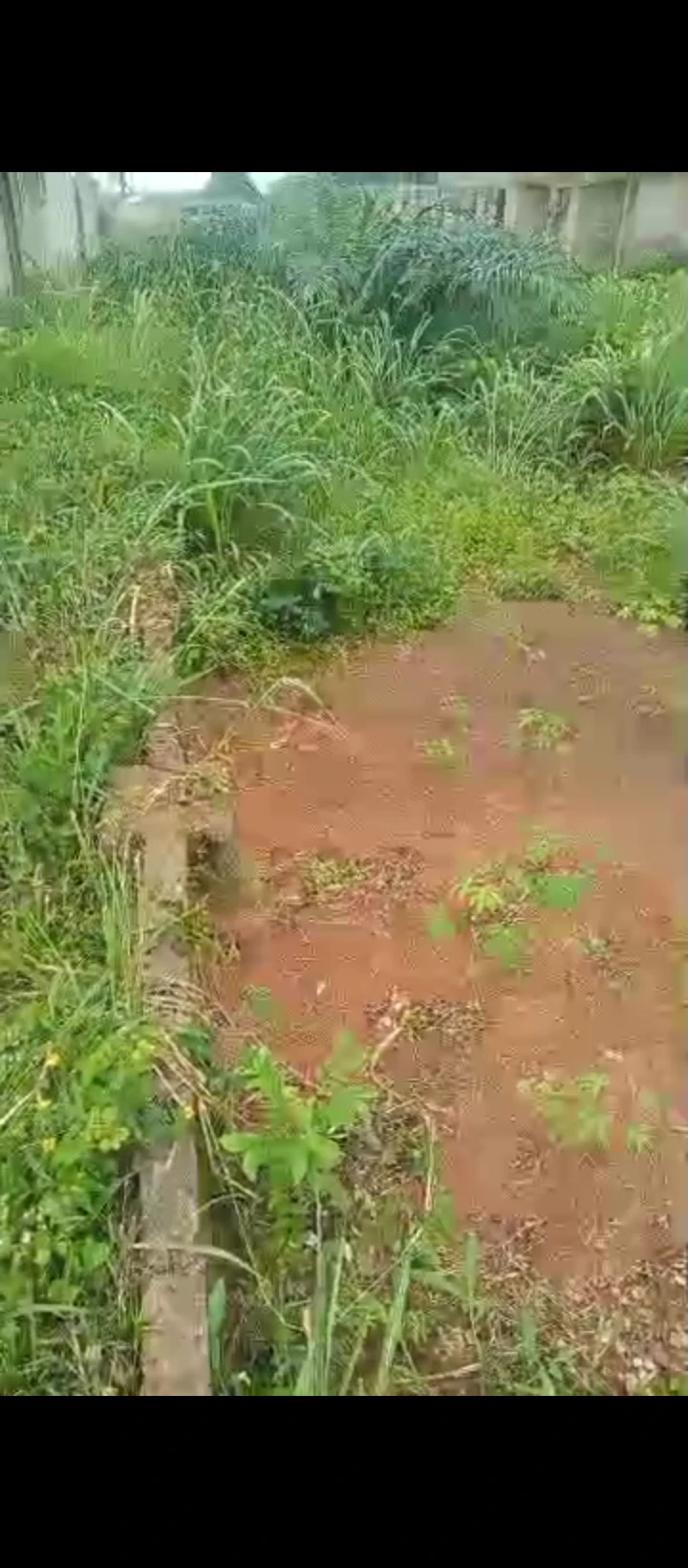 Land for Sale in Uhroho sapele road, Edo - Image 6