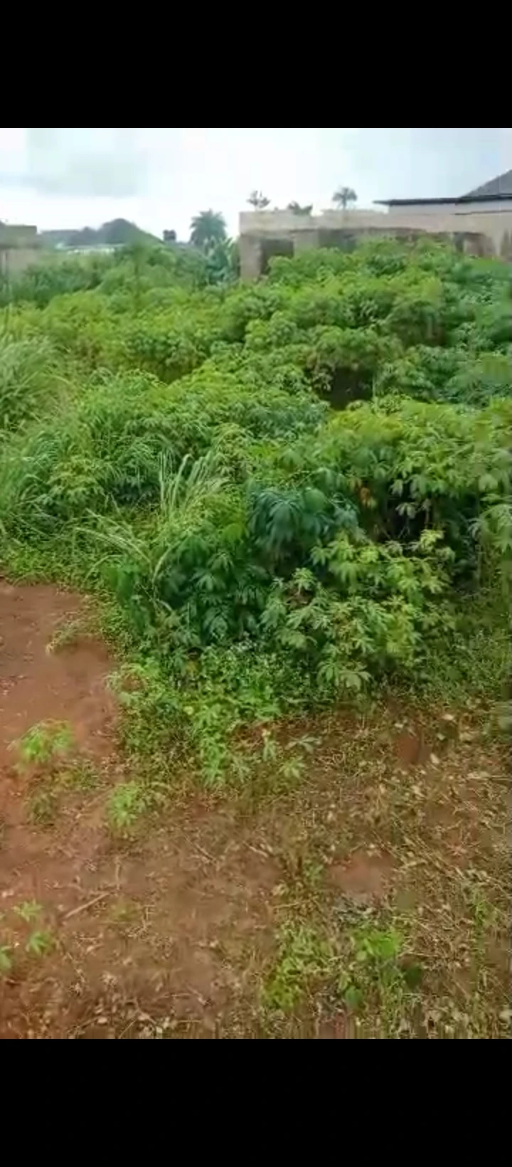Land for Sale in Uhroho sapele road, Edo - Image 3