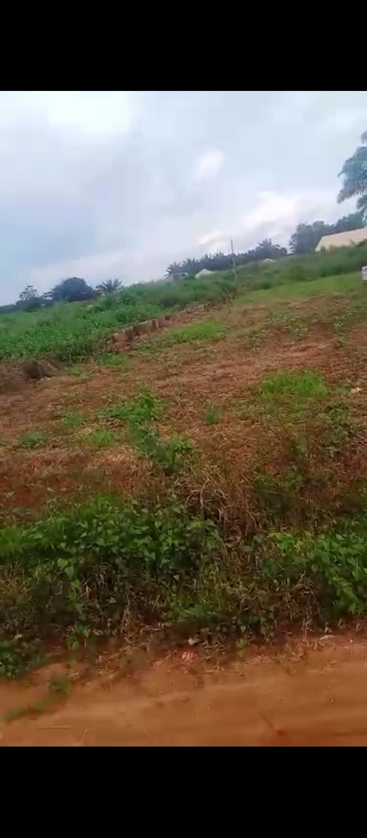 Land for Sale in Idogbo bypass, Edo - Image 2