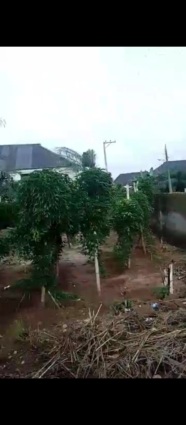 Land for Sale in Guobadia, Edo - Image 1
