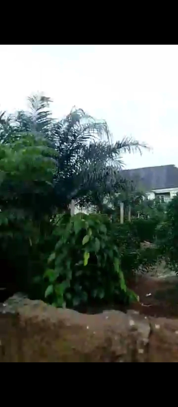 Land for Sale in Guobadia, Edo - Image 6