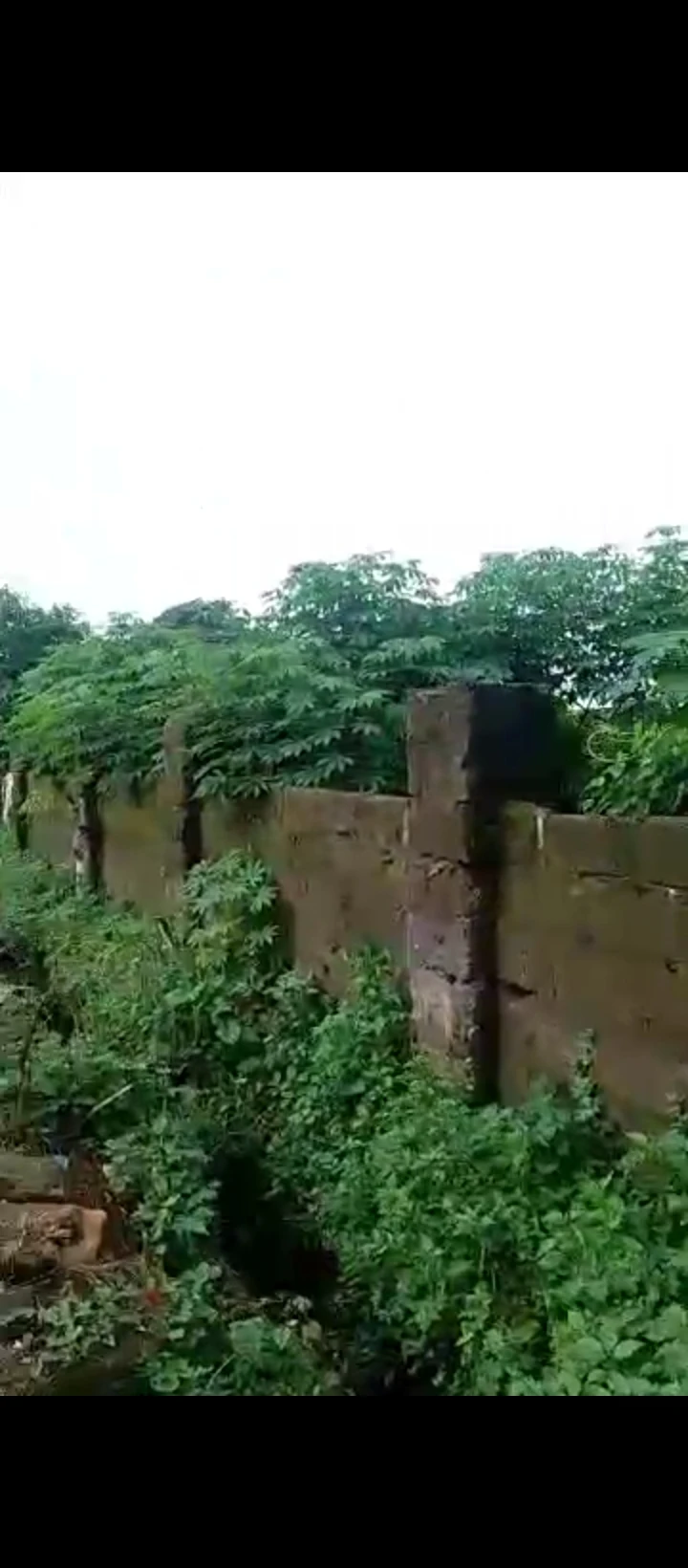Land for Sale in Guobadia, Edo - Image 5