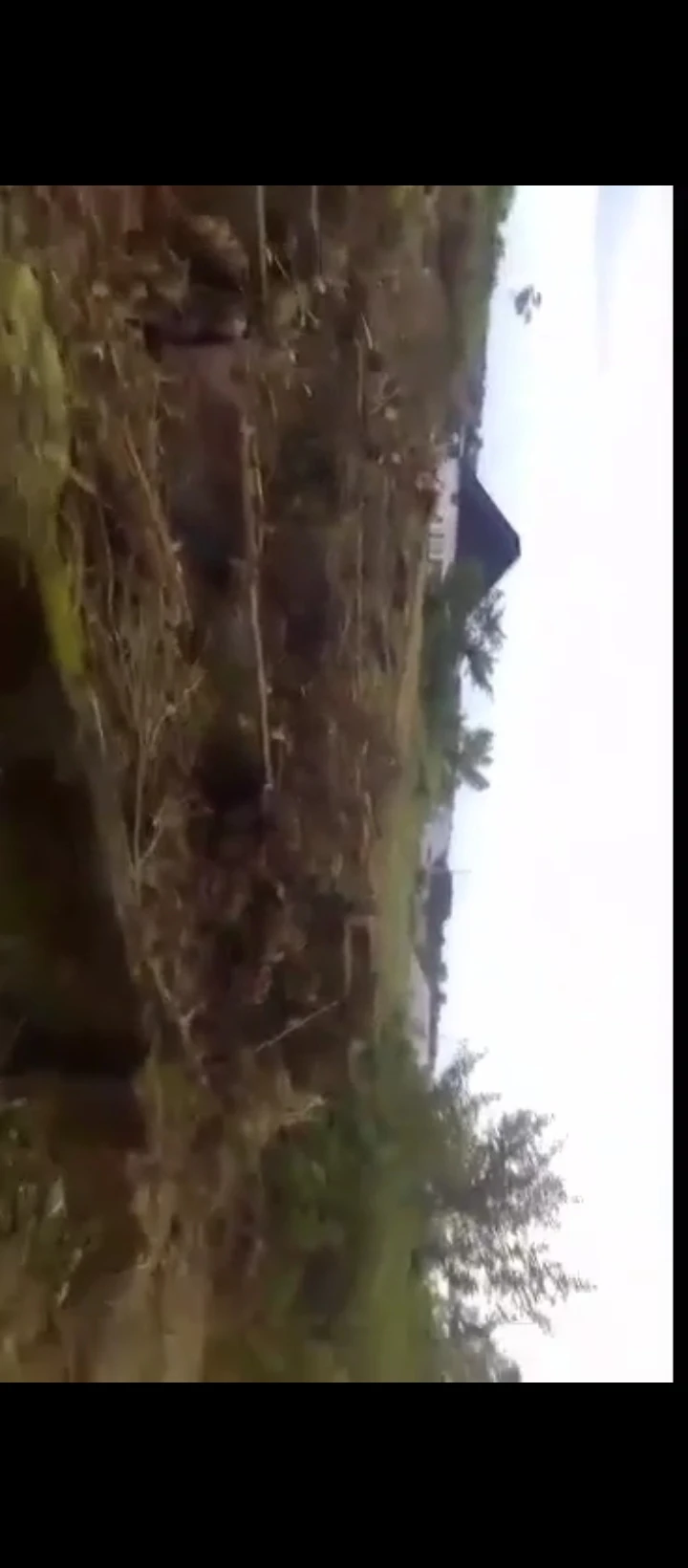 Land for Sale in Amagba river side, Edo - Image 6