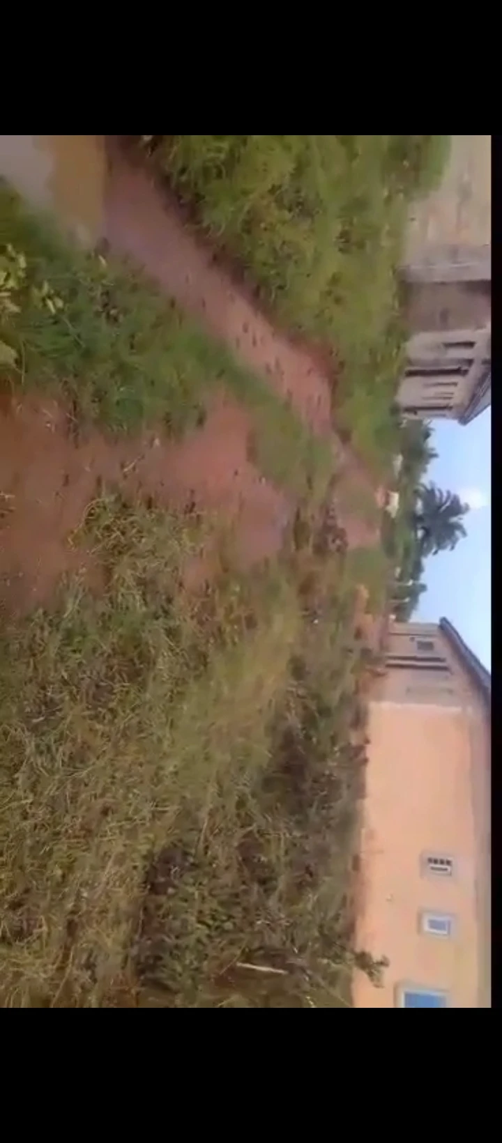 Land for Sale in Amagba river side, Edo - Image 3