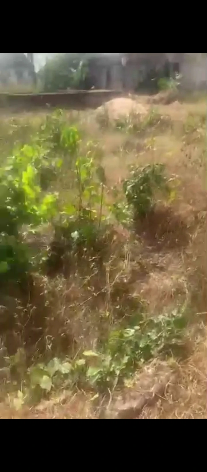 Land for Sale in Ogheoghe sapele road, Edo - Image 3