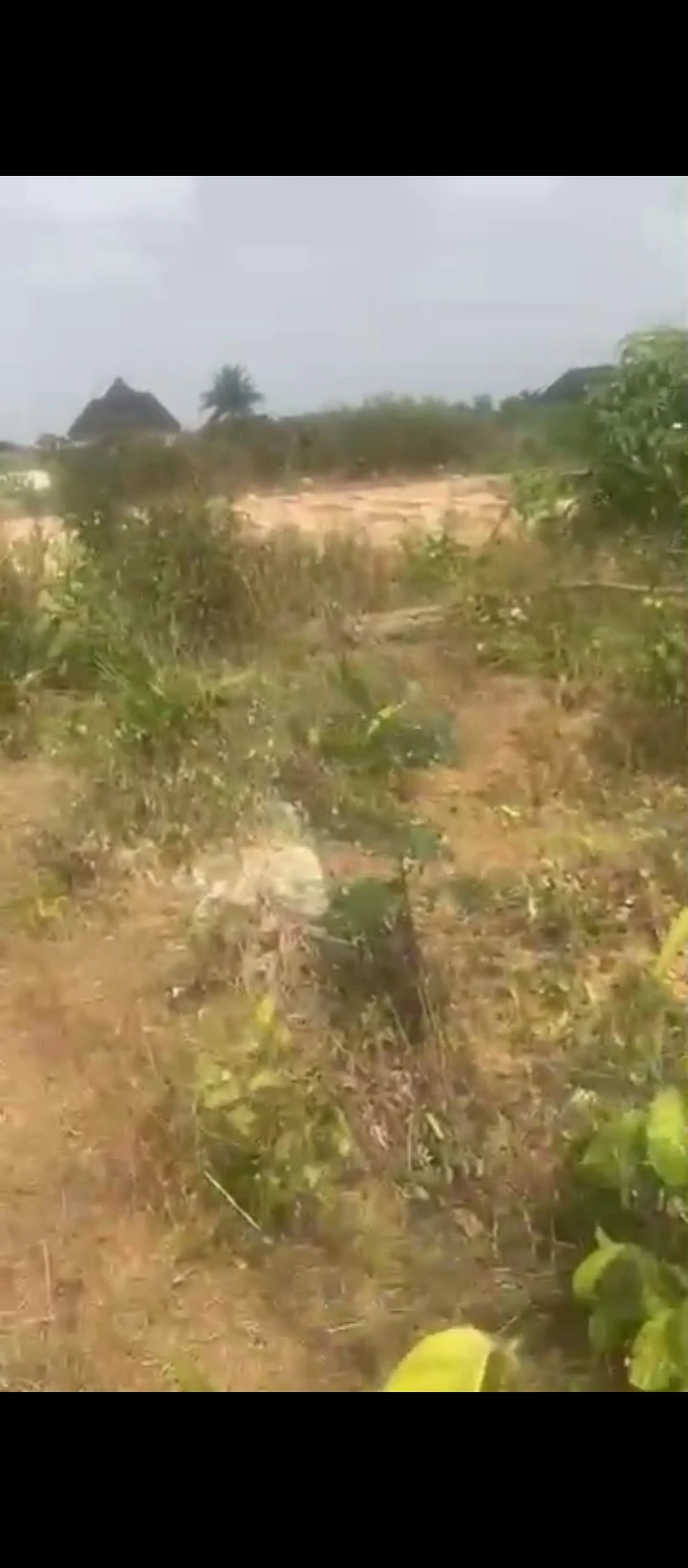 Land for Sale in Ogheoghe sapele road, Edo - Image 5