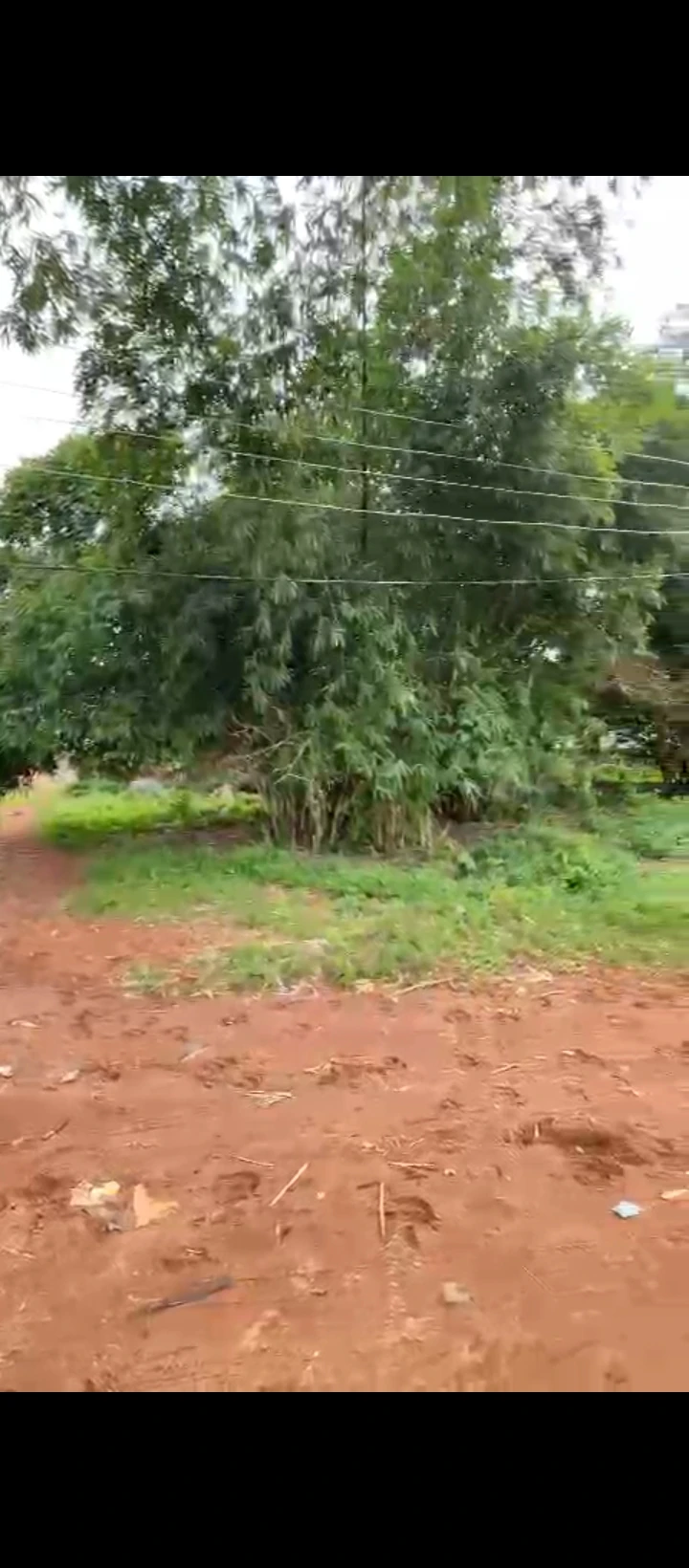 Land for Sale in Amagba, Edo - Image 2
