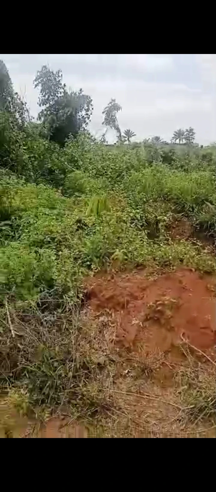 Land for Sale in Obagie sapele road close to ogheghe, Edo - Image 3