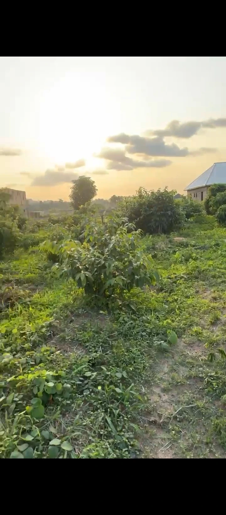 Land for Sale in Amagba, Edo - Image 1