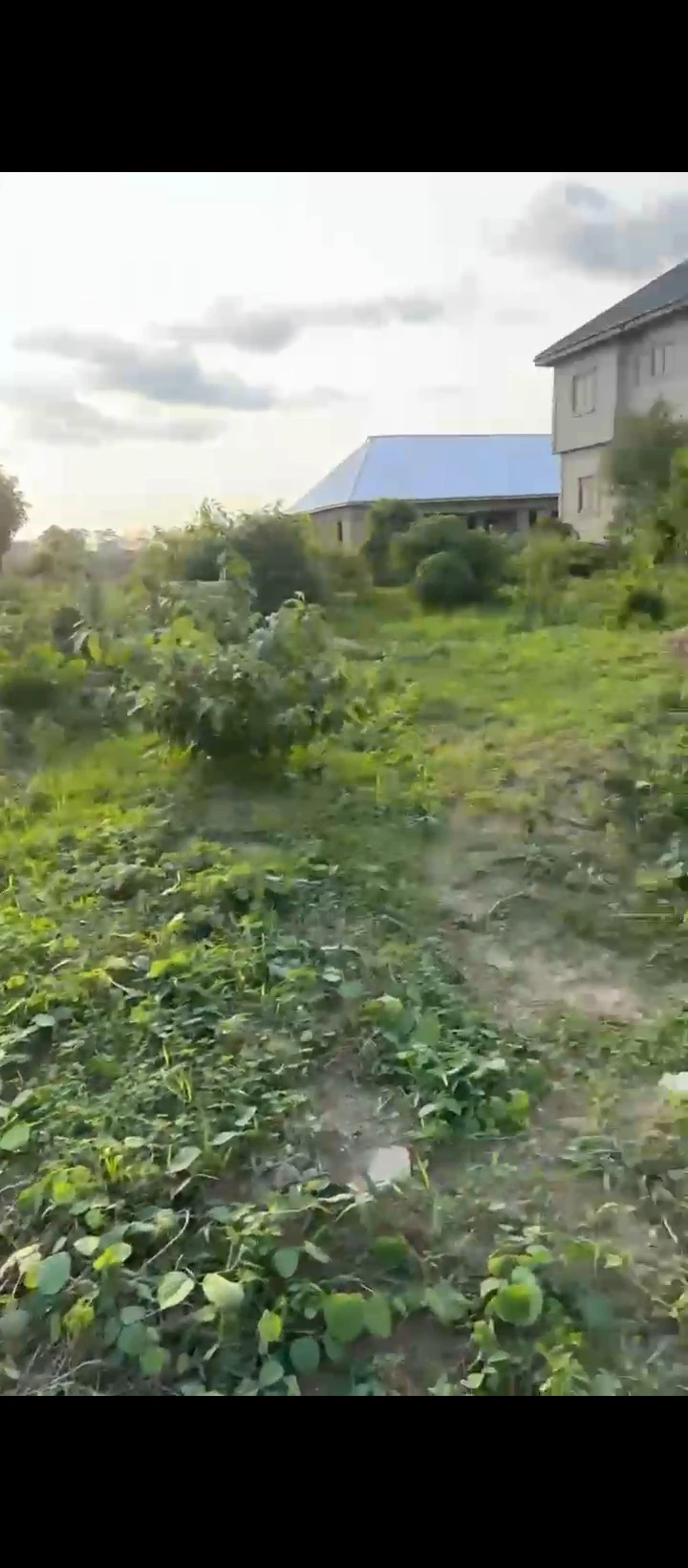 Land for Sale in Amagba, Edo - Image 2