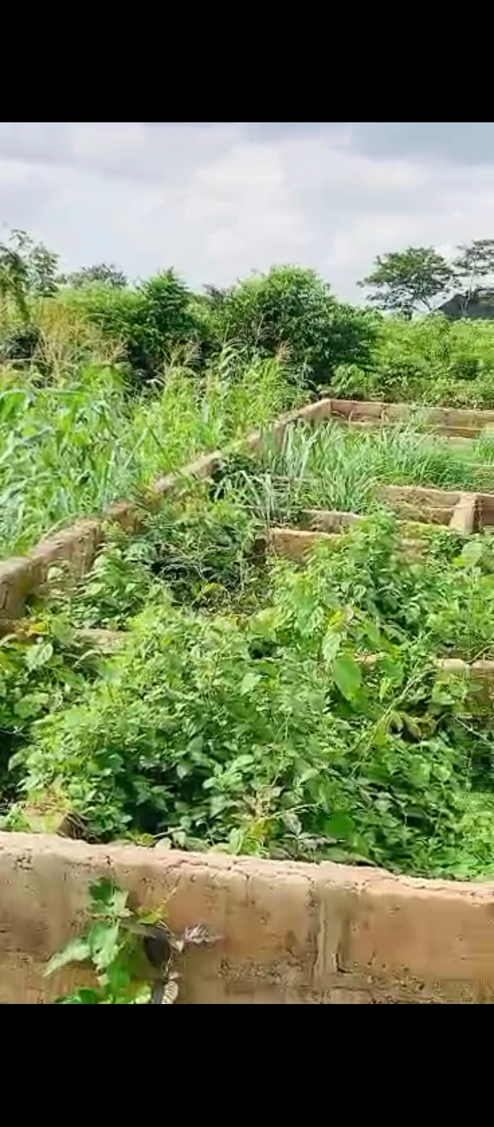 Land for Sale in Utiesi sapele road, Edo - Image 1