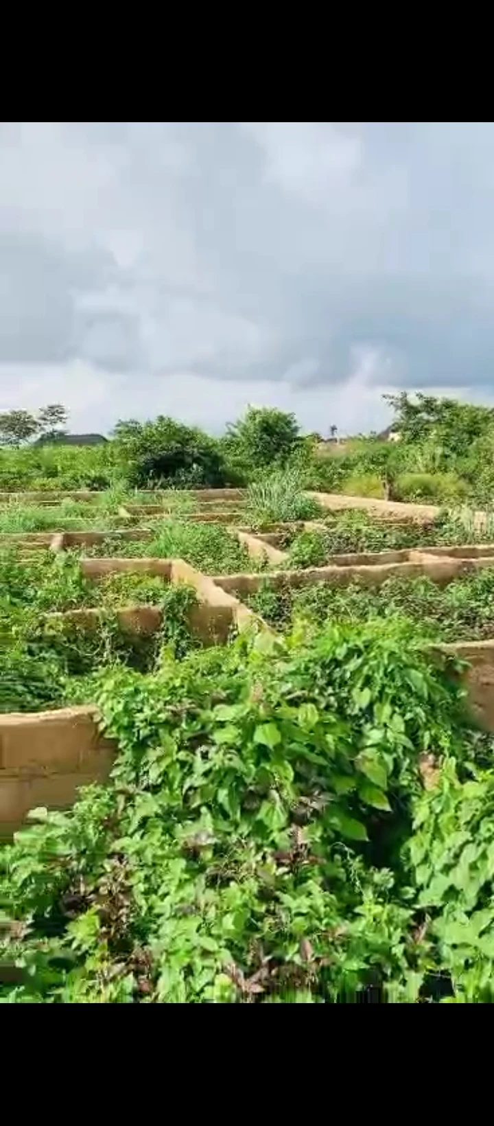 Land for Sale in Utiesi sapele road, Edo - Image 5