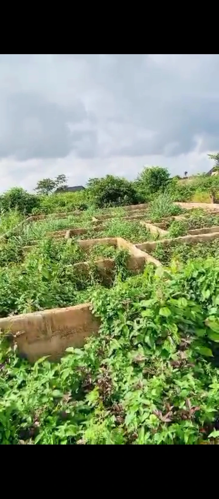 Land for Sale in Utiesi sapele road, Edo - Image 4