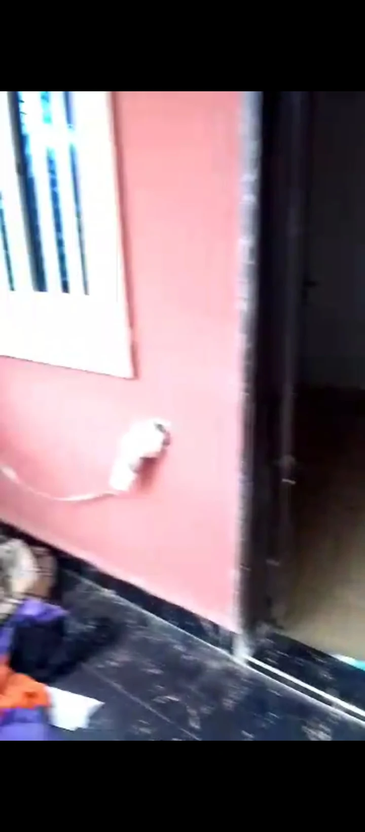 SelfContain for Rent in Peanut sapele road, Edo - Image 2