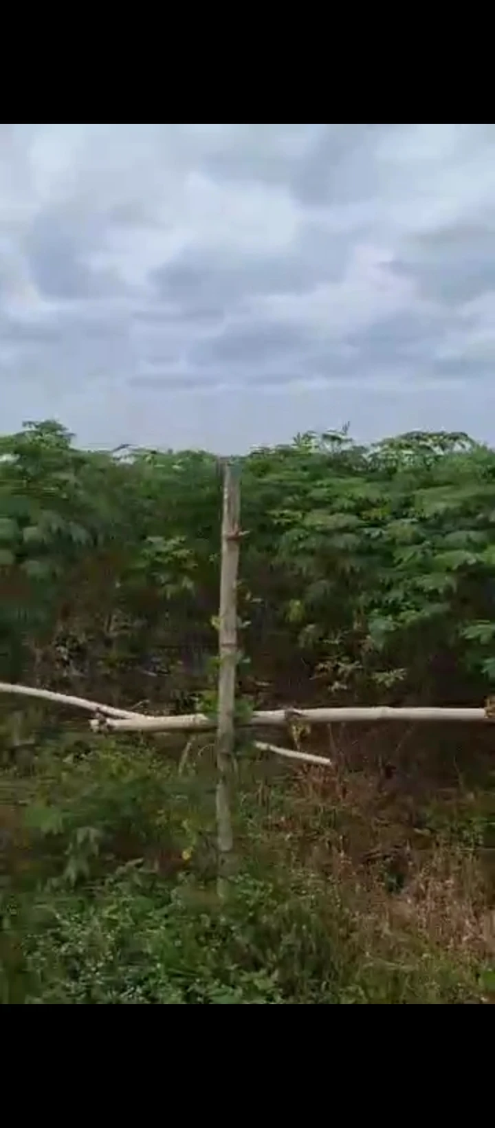 Land for Sale in Amagba, Edo - Image 4